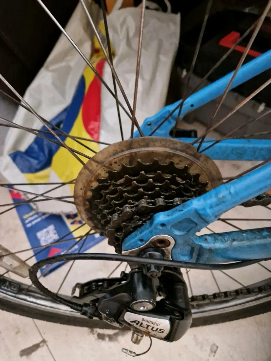 Adult bike midium size - Image 3