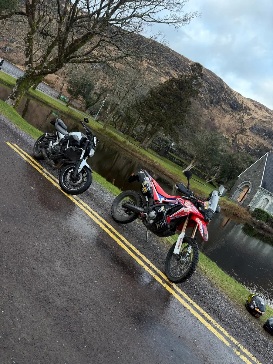 2020 Honda CRF250L Rally - Image 2