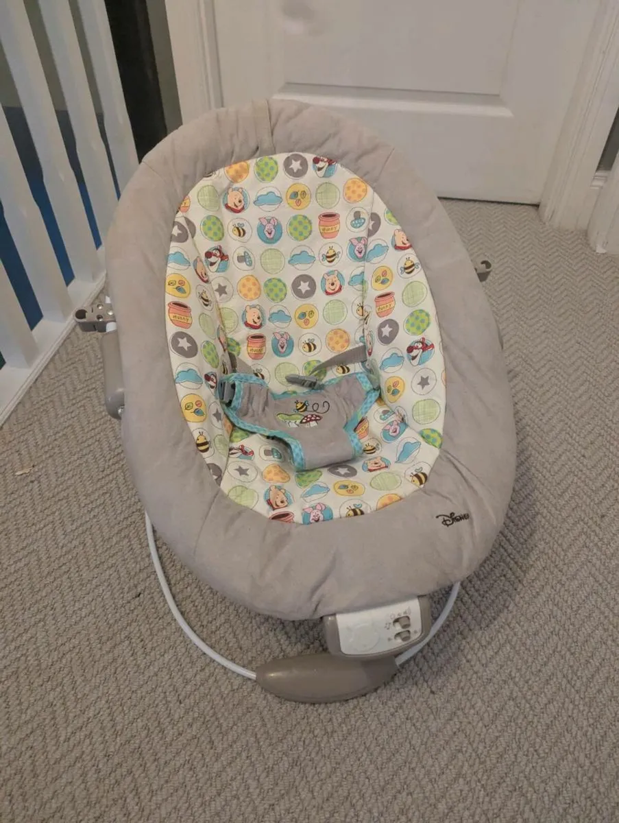 Disney Winny the Poo Baby Bouncer