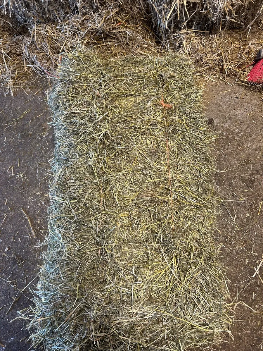 Hay & Haylage - Image 2