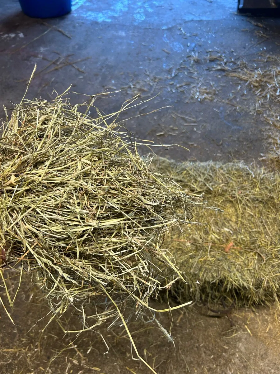 Hay & Haylage - Image 3