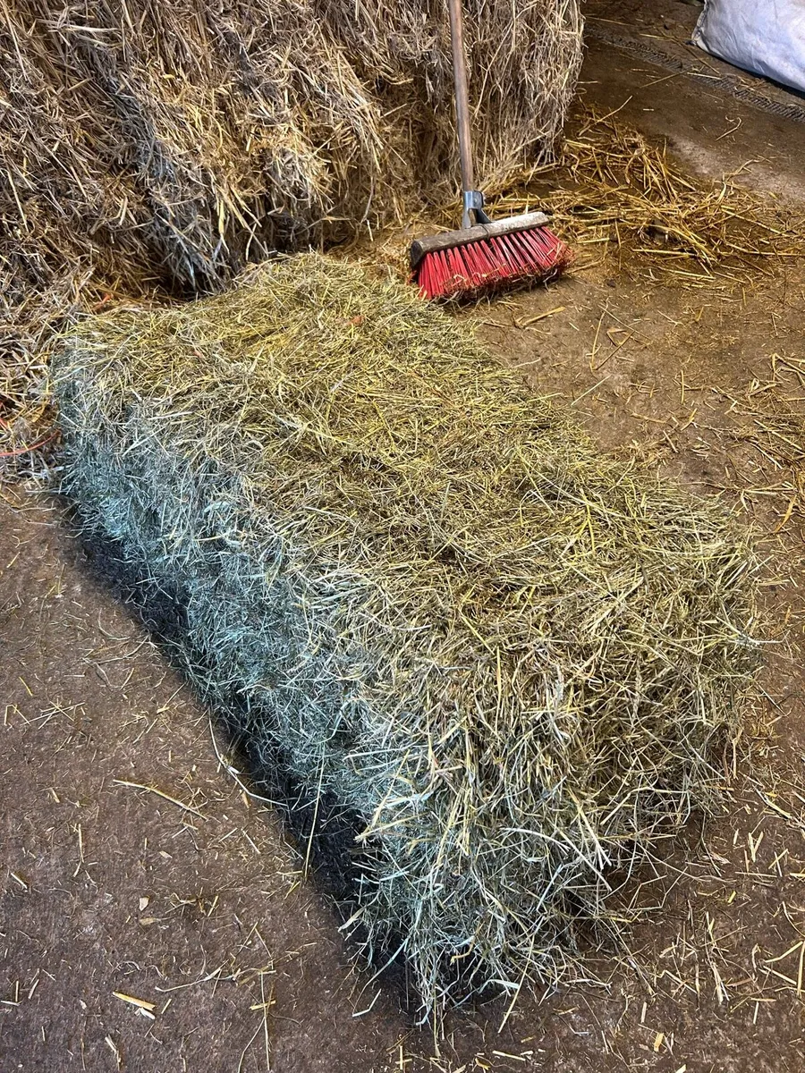 Hay & Haylage - Image 1