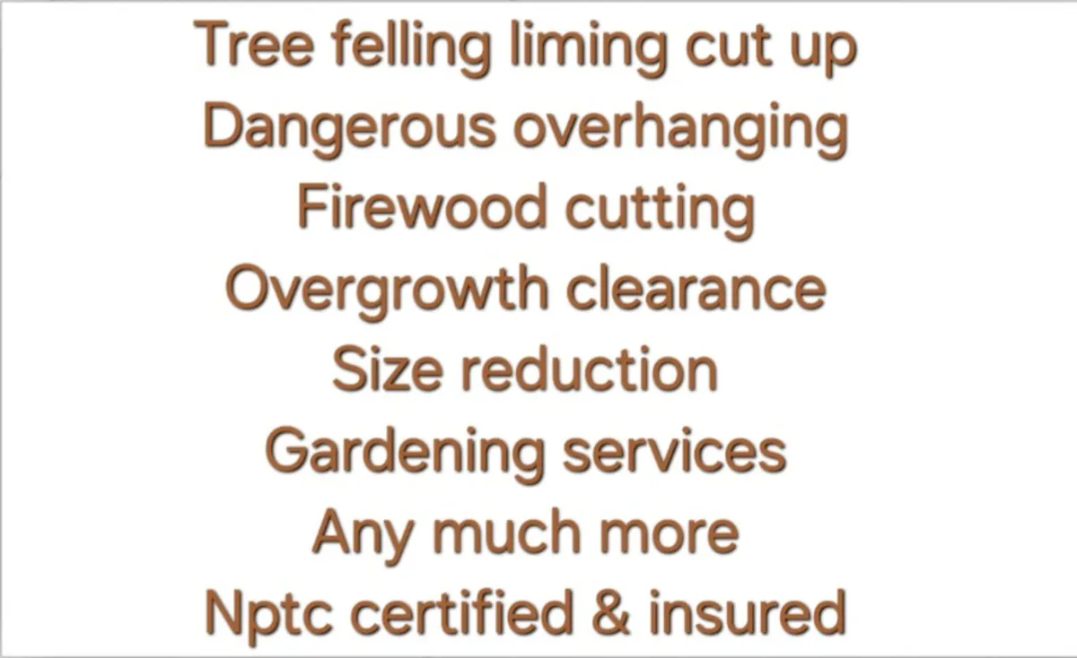 Affordable Tree Services - Image 2