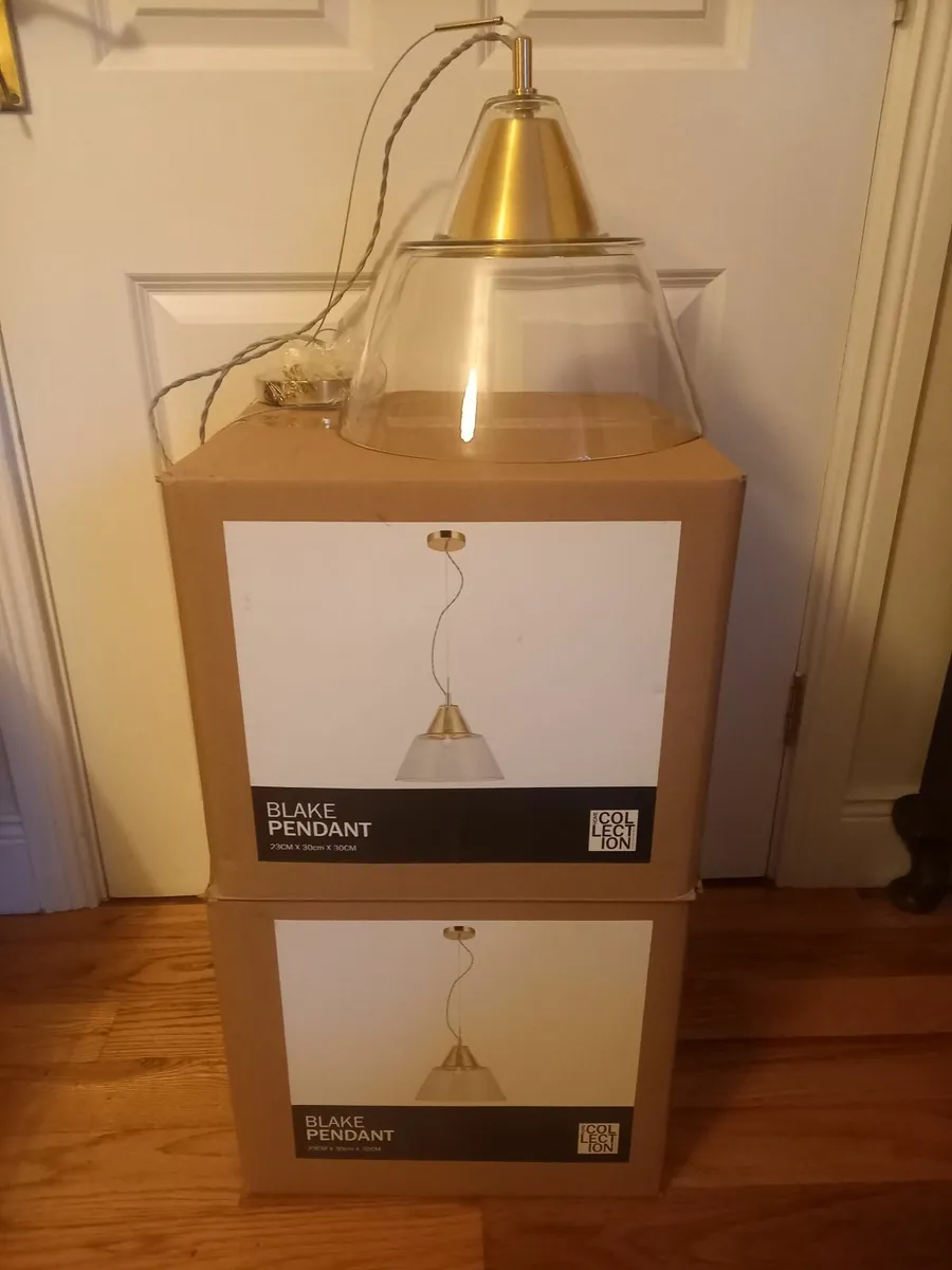 Pair of pendant Lights - Image 2