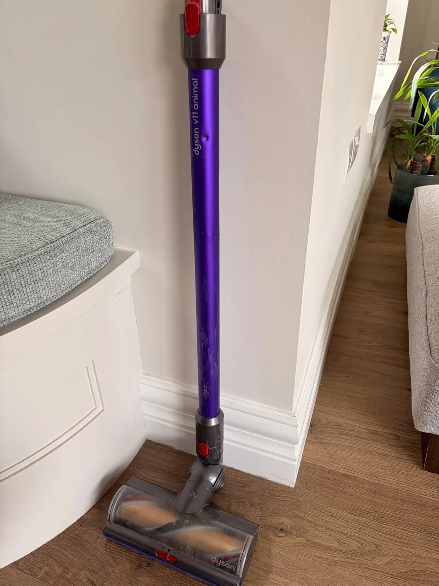 Dyson v11 animal - Image 1