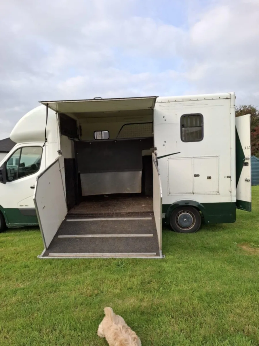 3.5t 2 horse box - Image 4