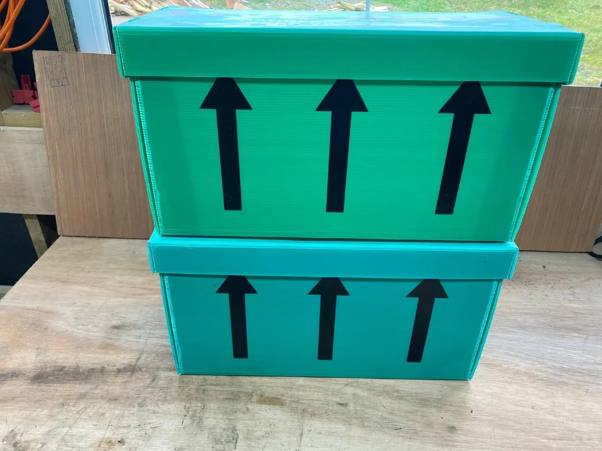 Correx Nuc Boxes - Image 2