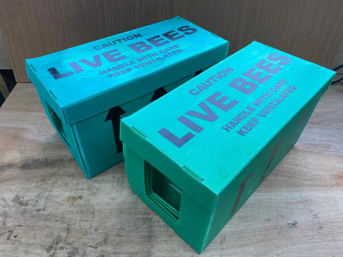 Correx Nuc Boxes - Image 1