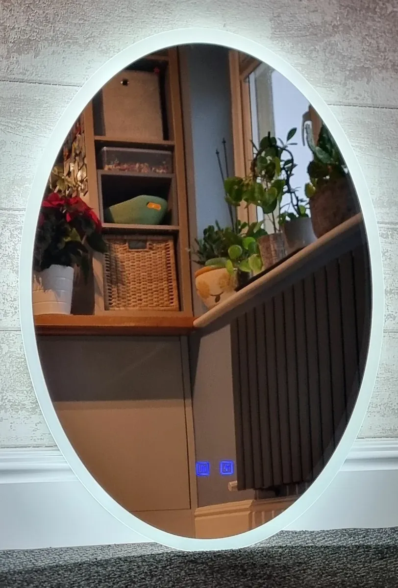 LED Bathroom Mirror Bright Oval Cosmetic Makeup - Image 3