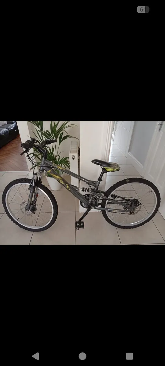 Mountain bike - Image 1