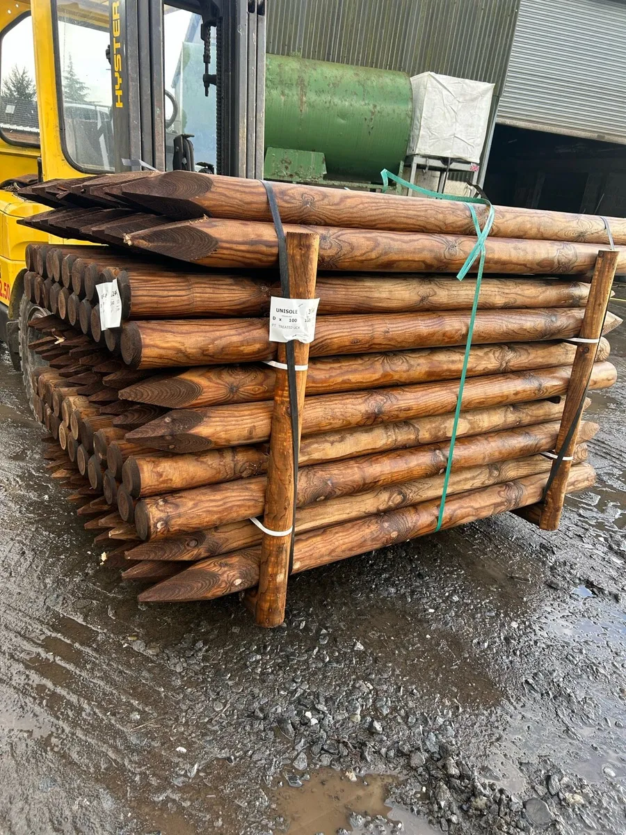 Fencing posts - Image 3