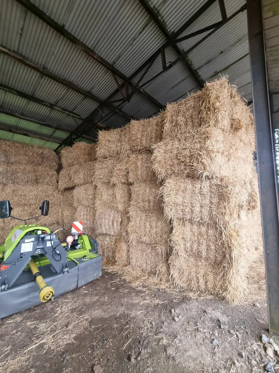 Winter Barley Straw - Image 1