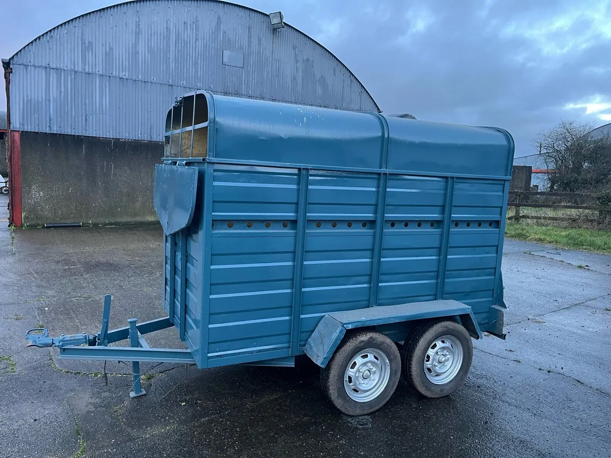 Cow Box 8x4 - Image 2