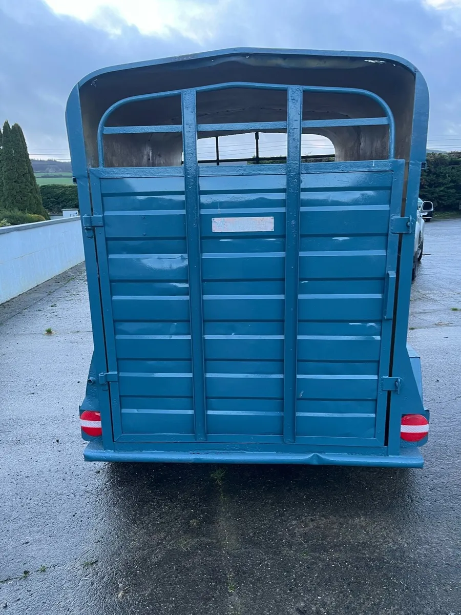 Cow Box 8x4 - Image 3