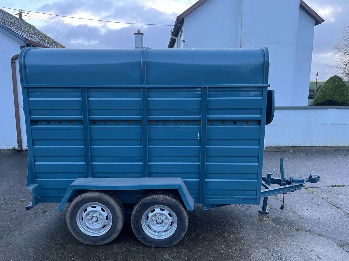 Cow Box 8x4 - Image 4