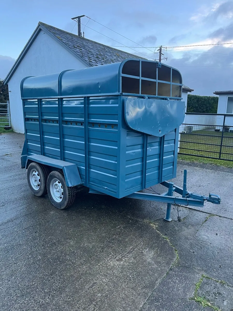 Cow Box 8x4 - Image 1