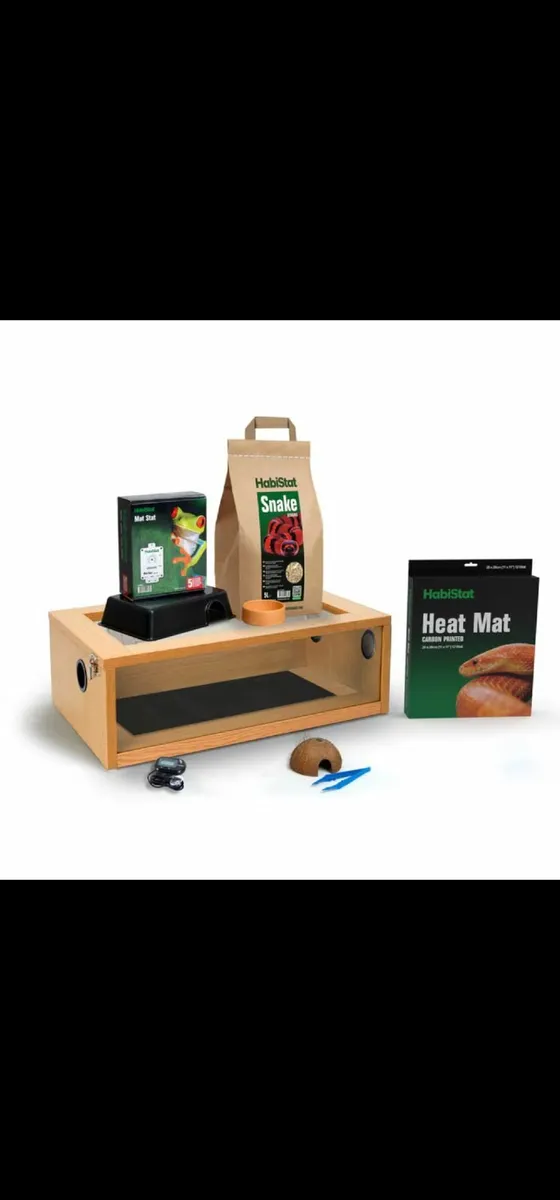 Corn snake with starter kit - Image 3