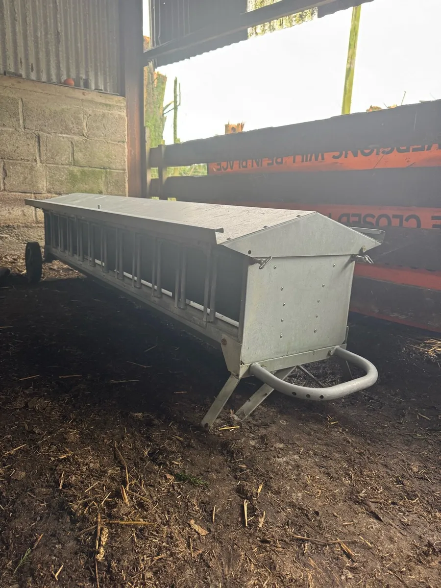 Sheep equipment - Image 2
