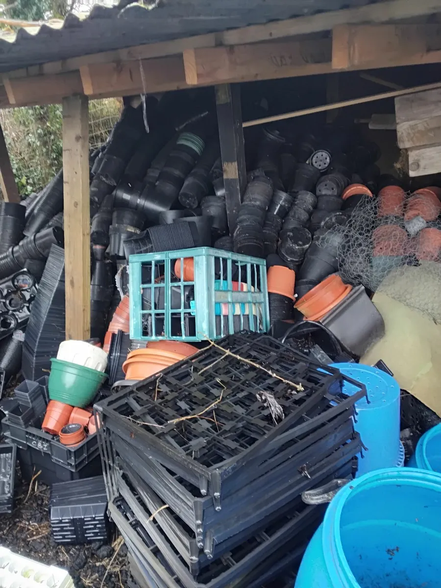 Horticultural seedling trays, pots and pot trays. - Image 2