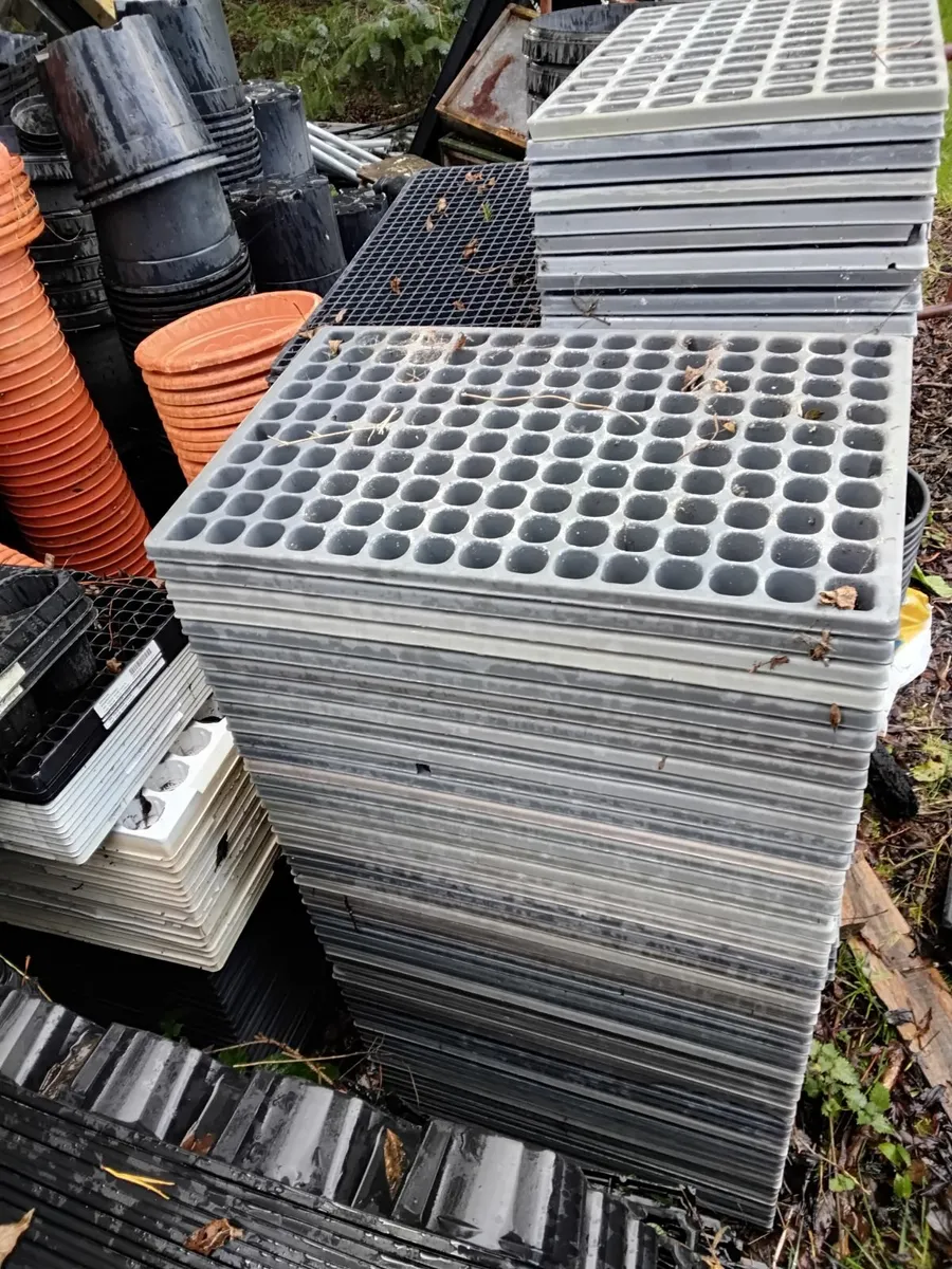 Horticultural seedling trays, pots and pot trays. - Image 3