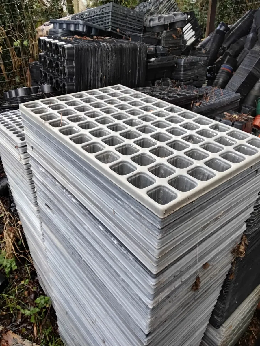 Horticultural seedling trays, pots and pot trays. - Image 1