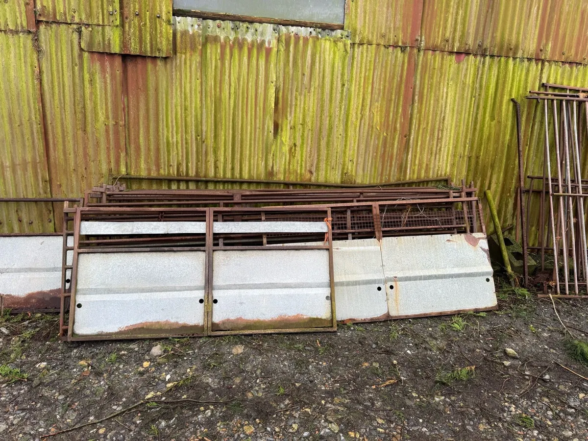 Sheep equipment - Image 3