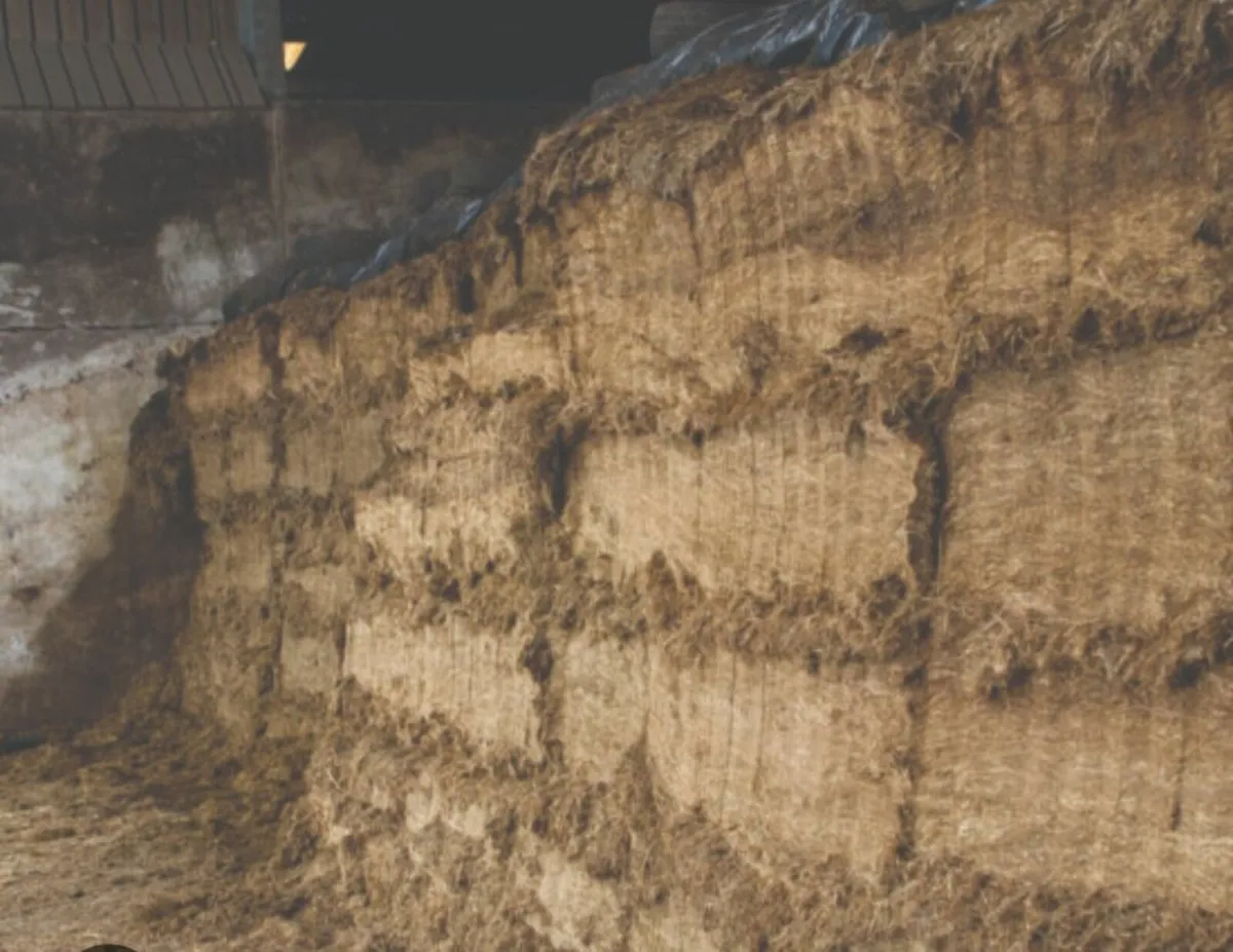 Pit silage & round bales
