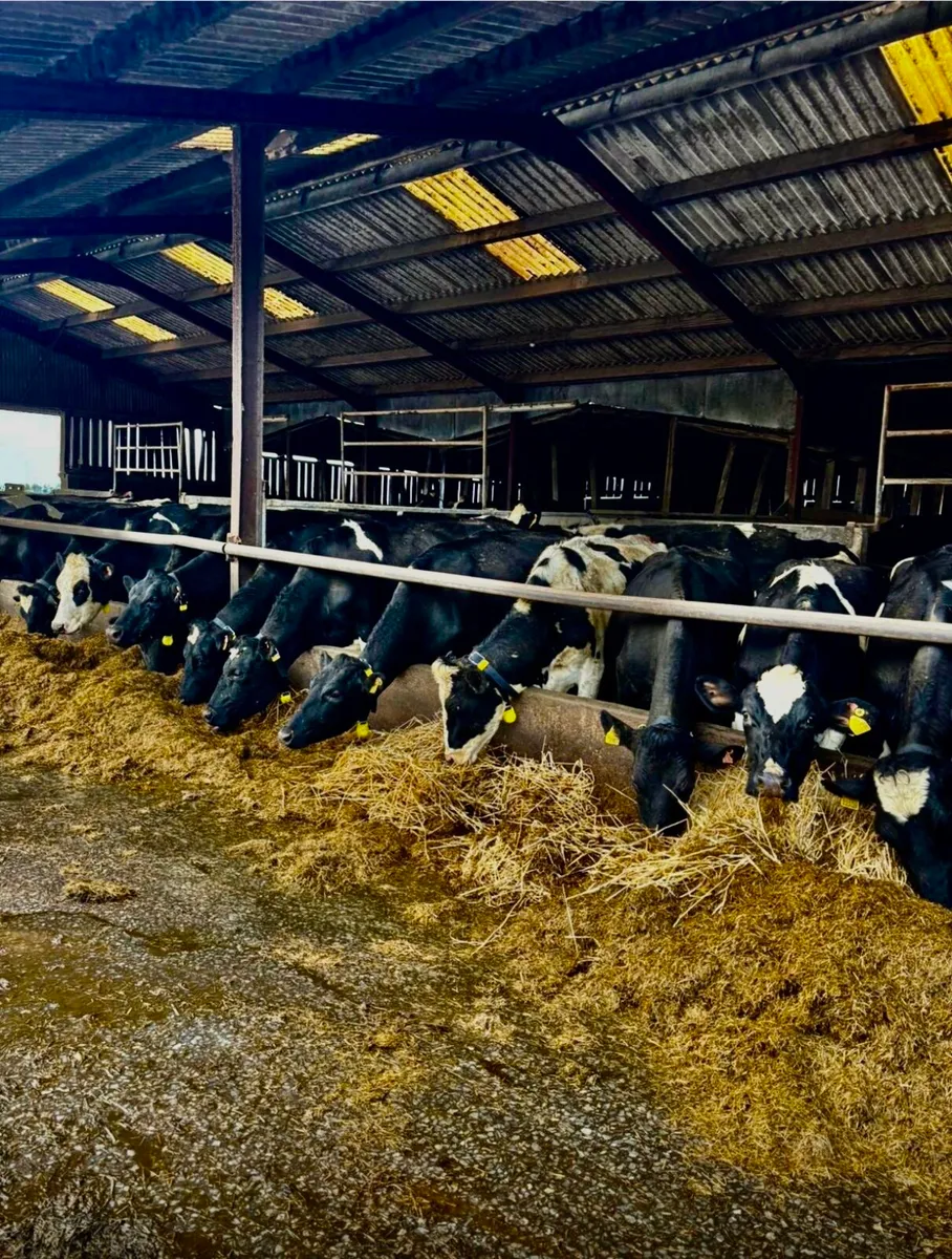 Heat & Health alerts - Image 4