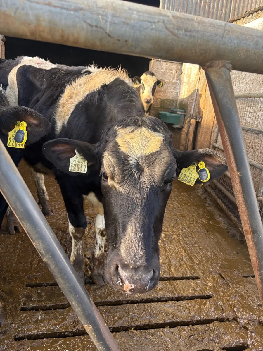 Heat & Health alerts - Image 1