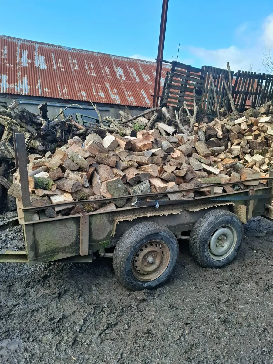 Firewood - Image 4