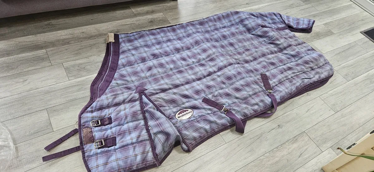 equestrian bridals and horse rugs - Image 1