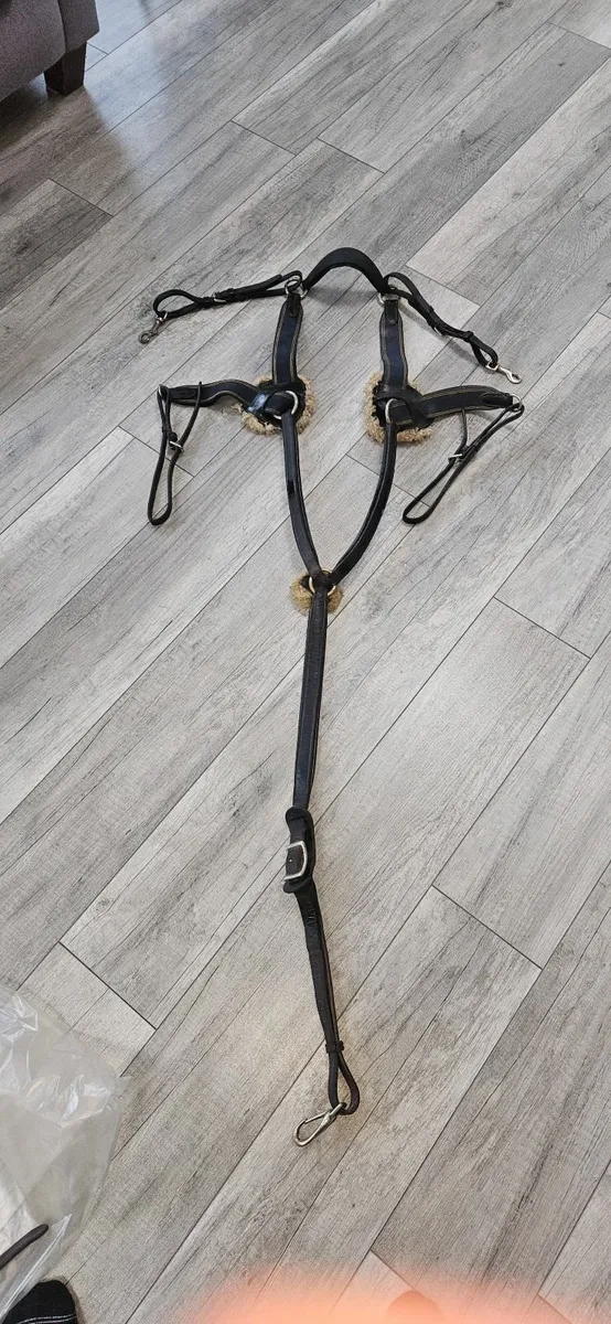 equestrian bridals and horse rugs - Image 3