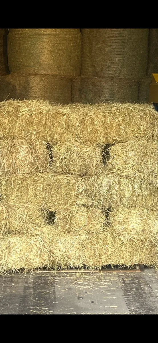 Hay s-Squares  & Rounds      (Stradbally) - Image 3