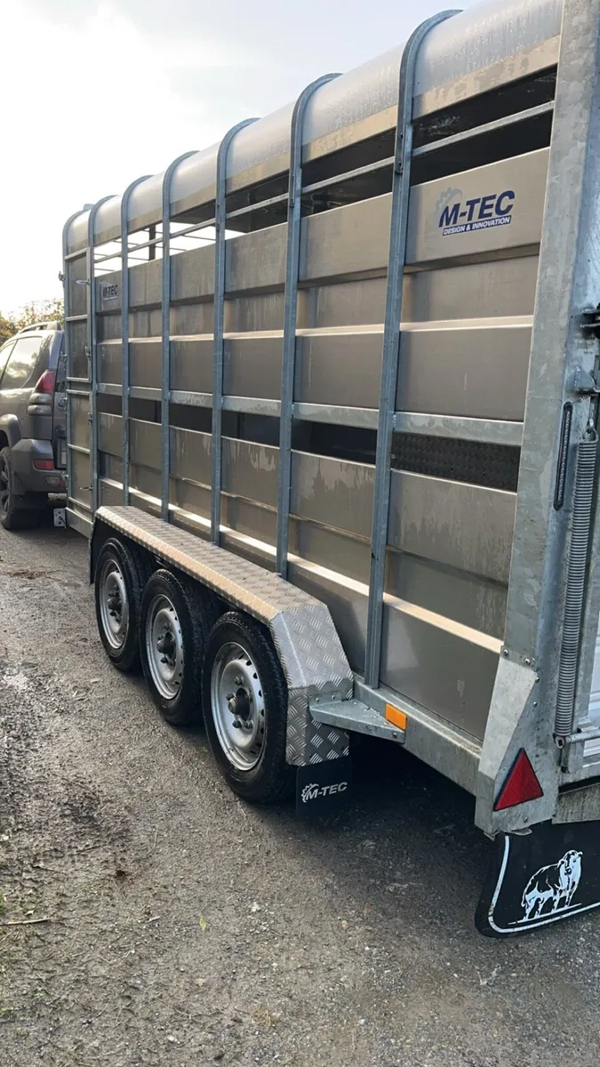 14ft MTec Cattle Trailer - Image 2