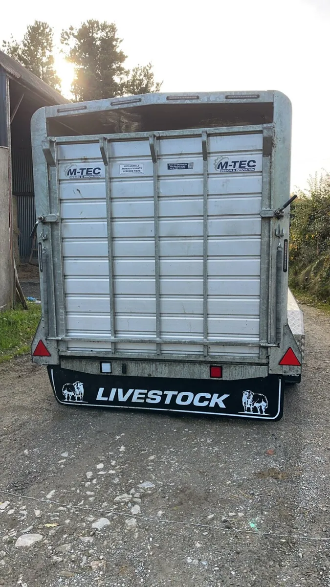 14ft MTec Cattle Trailer - Image 3