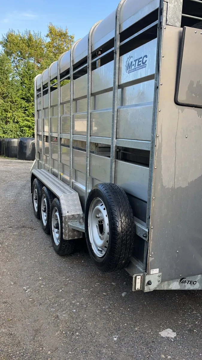 14ft MTec Cattle Trailer - Image 4