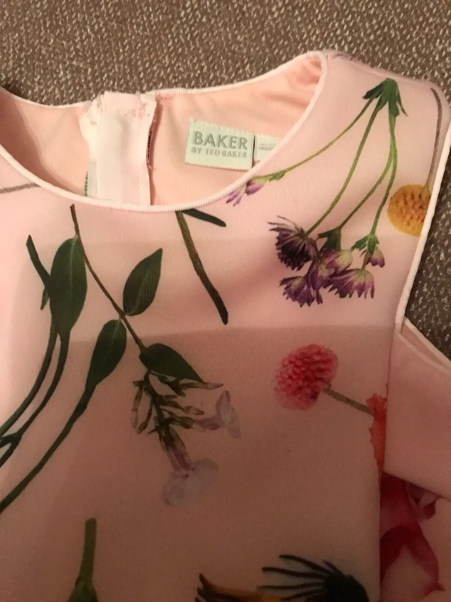 Ted Baker dress - Image 3