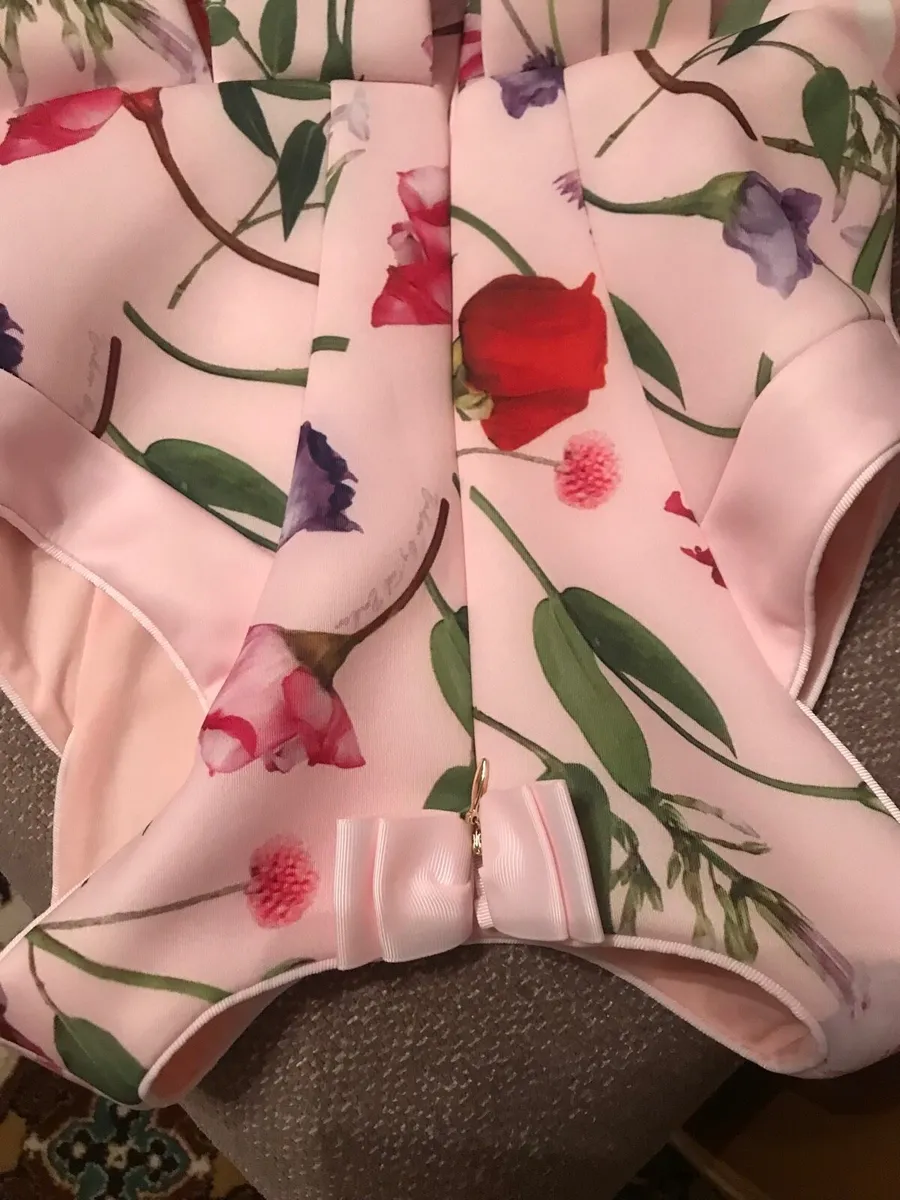 Ted Baker dress - Image 4