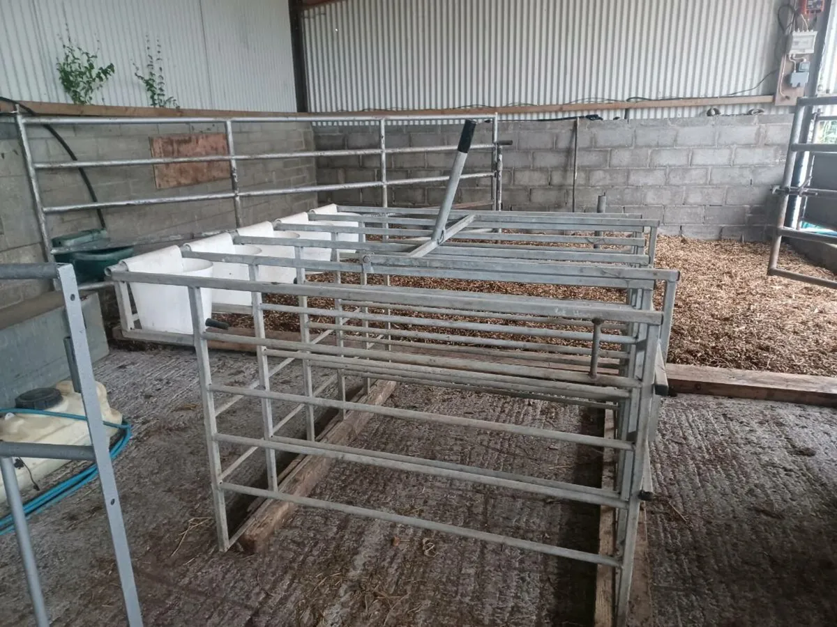 Calf Starter Crate - Image 1