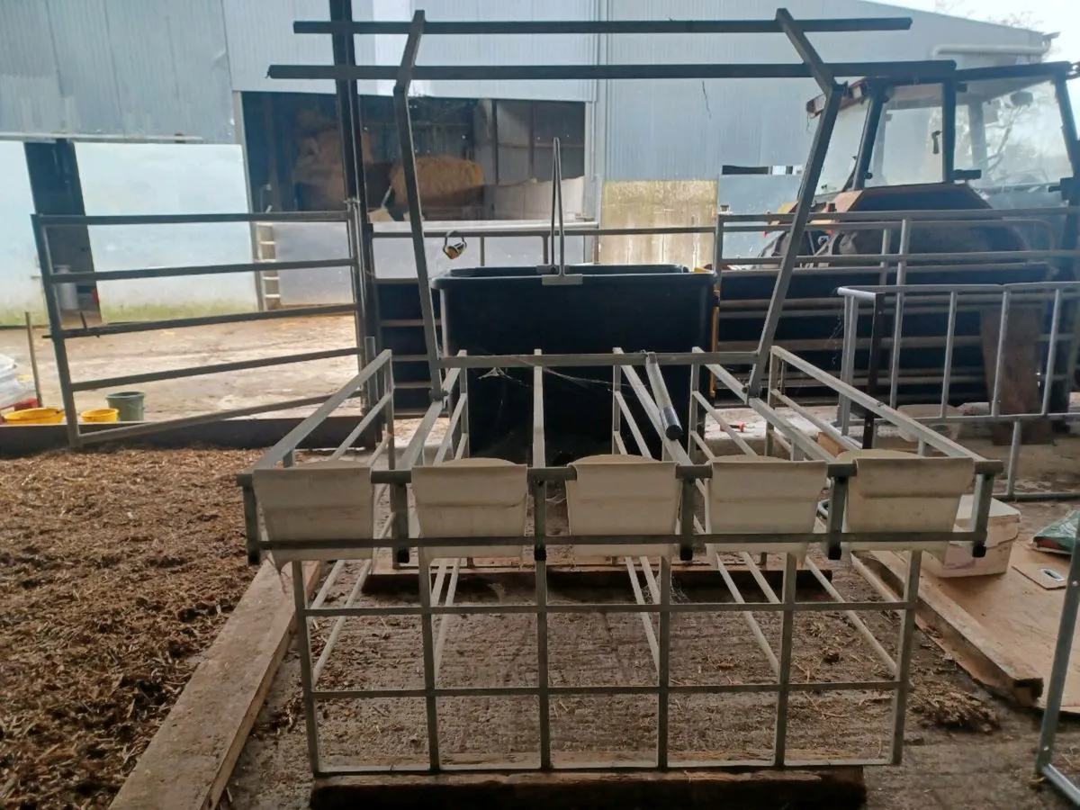 Calf Starter Crate - Image 2