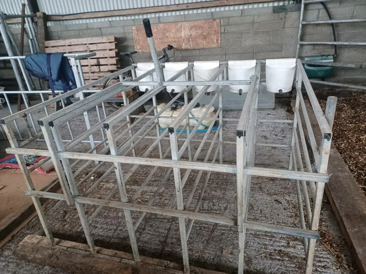 Calf Starter Crate - Image 3