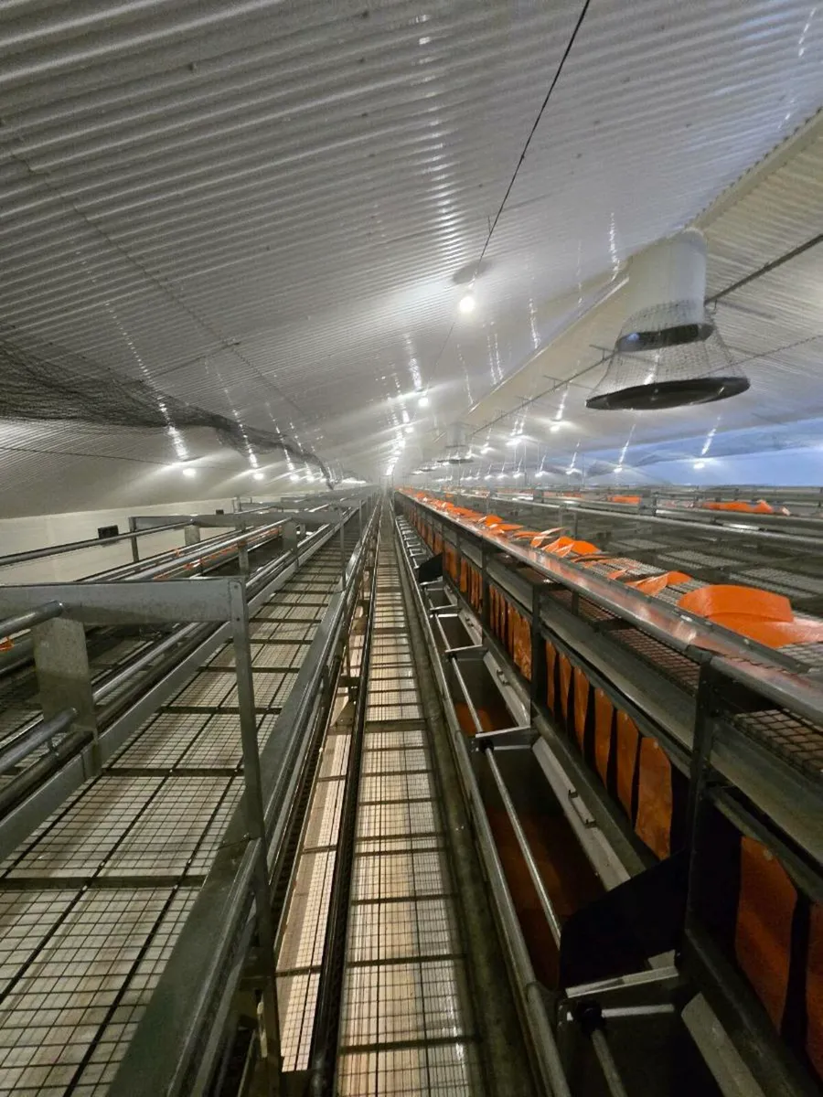 Hen house  powerwashing - Image 2