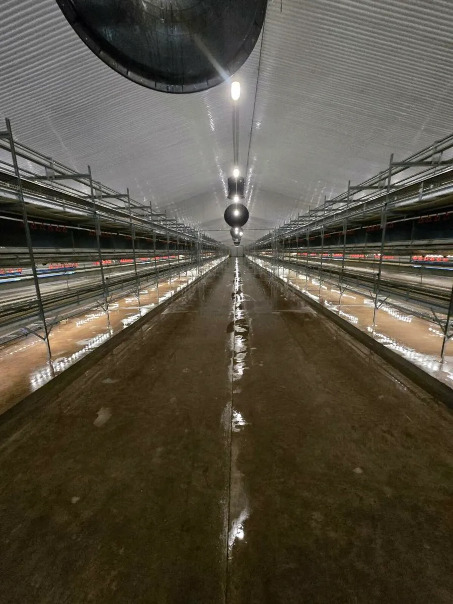 Hen house  powerwashing - Image 4