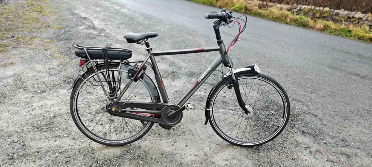 ebike Gazela professional bike - Image 1