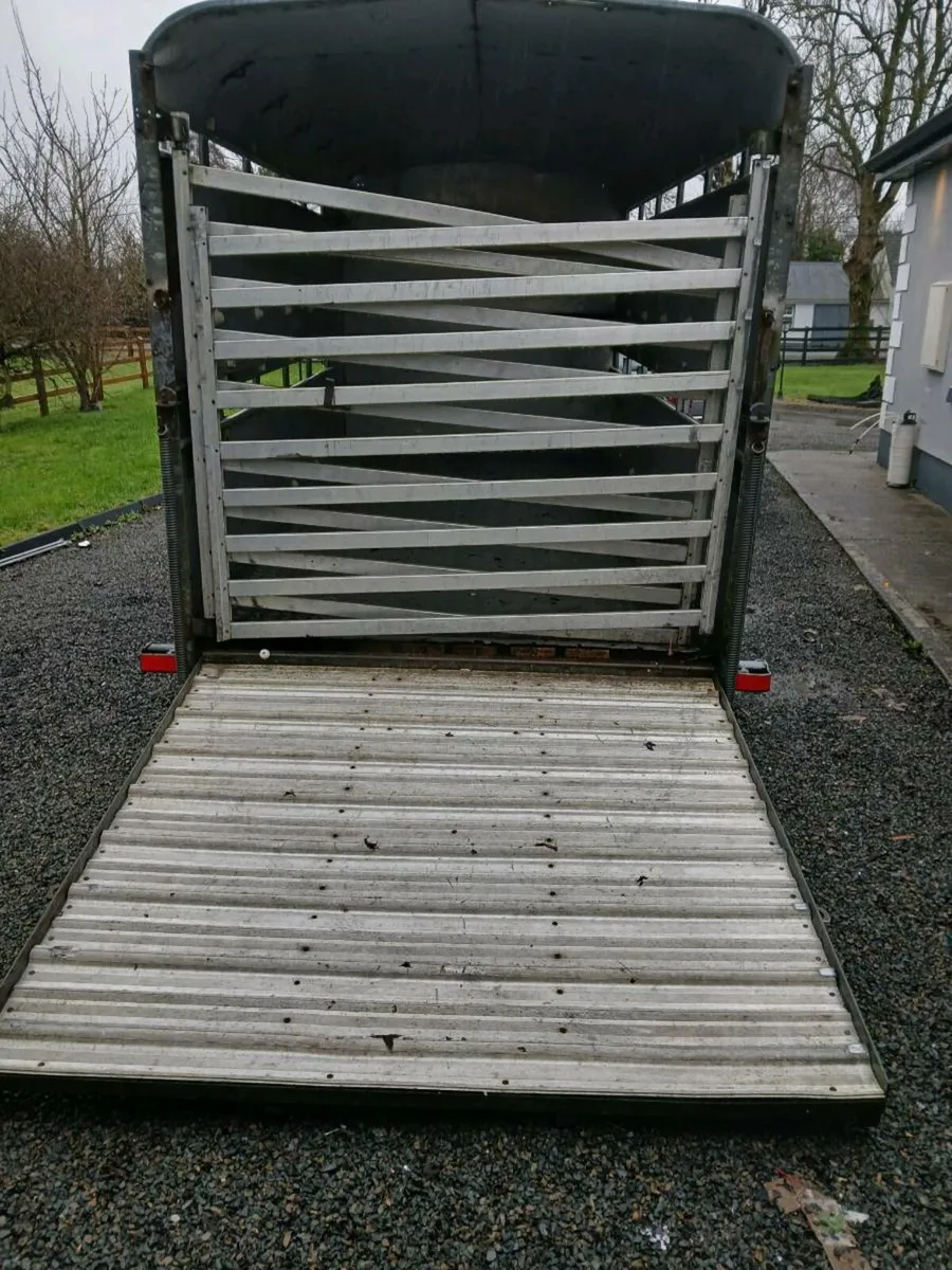 Ivor Williams cattle trailer 12x6 - Image 3
