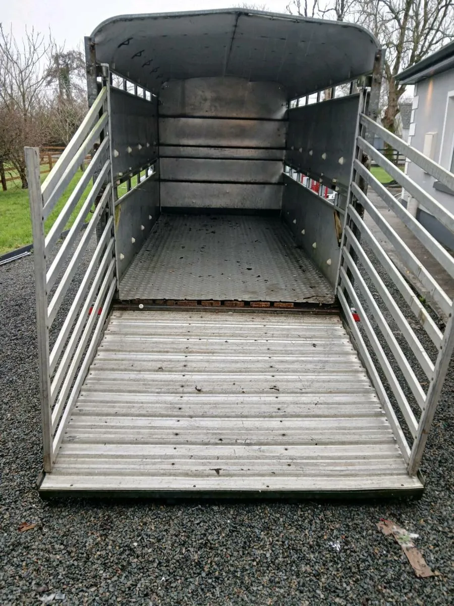 Ivor Williams cattle trailer 12x6 - Image 4