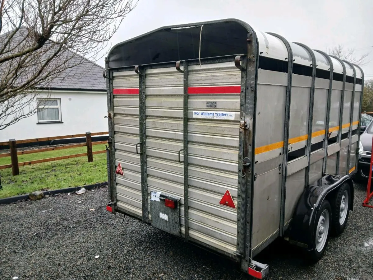 Ivor Williams cattle trailer 12x6 - Image 2