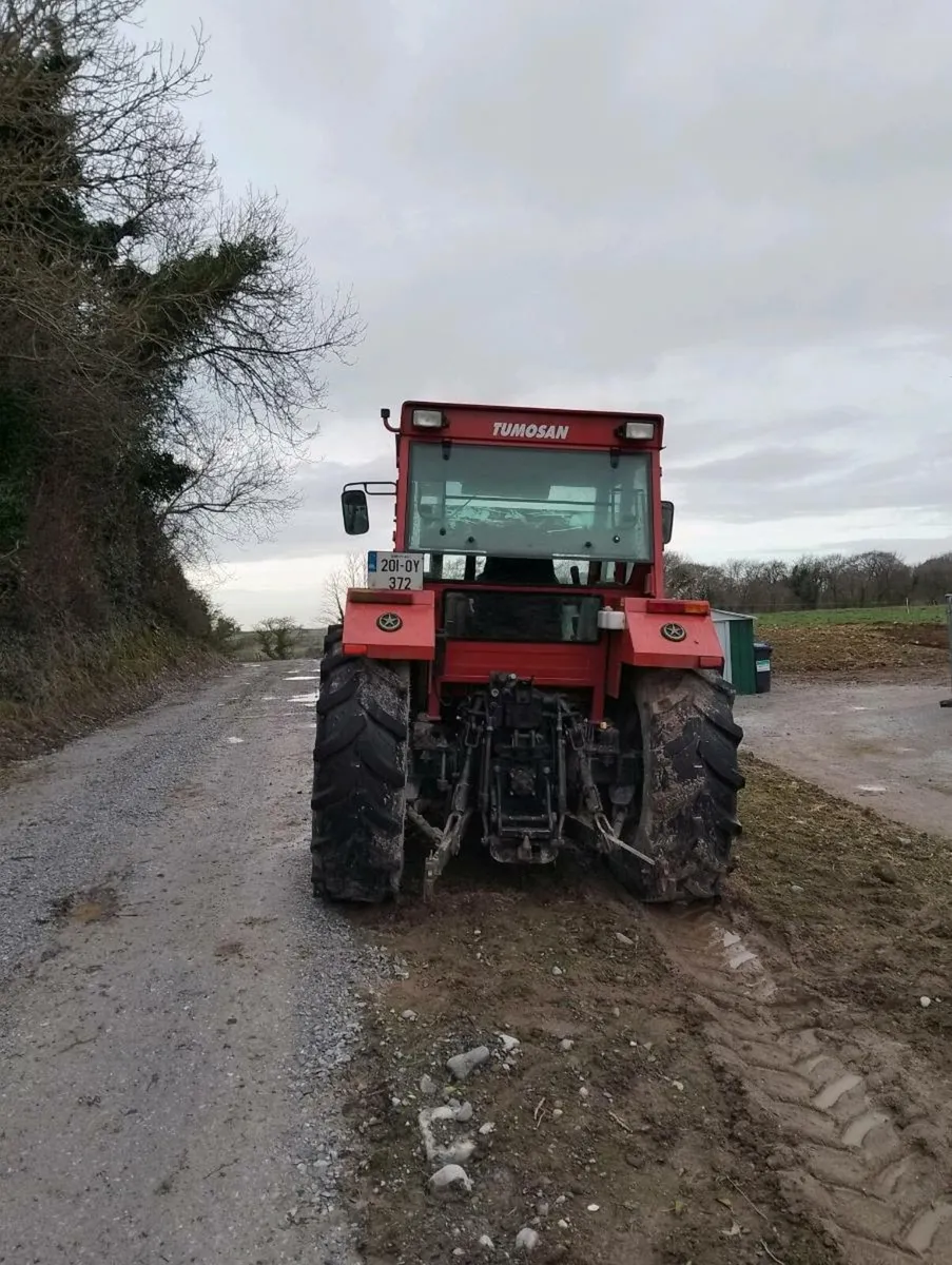 Tumosan 8095 - Image 3