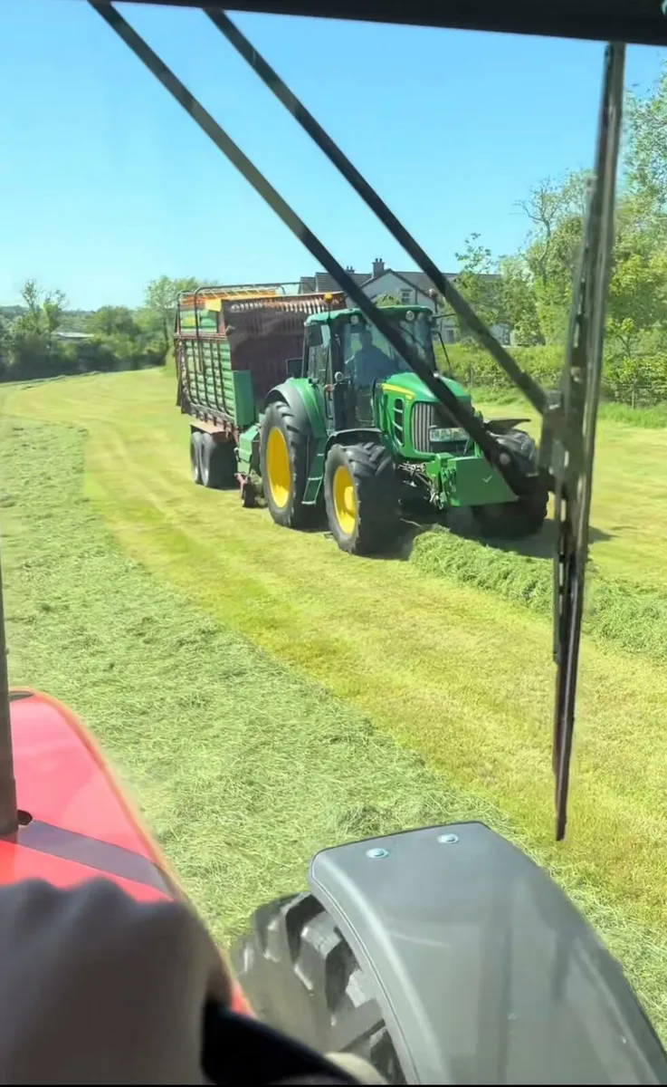 Pit Silage - Image 1