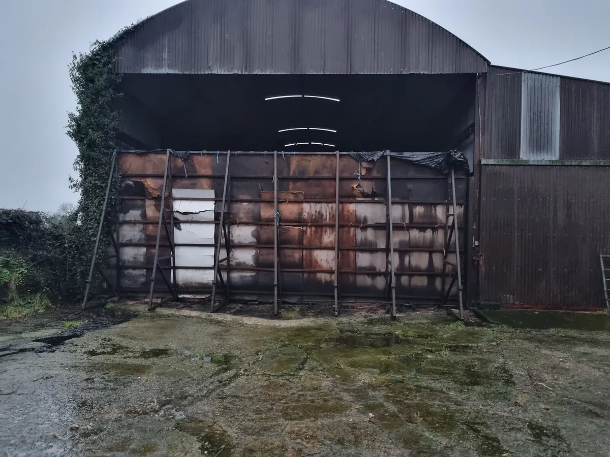 Pit Silage - Image 3